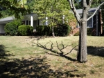 318 Greenvale Road Asheboro, NC 27203 - Image 588130