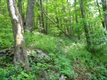 LOT 73 CROWN PT West Jefferson, NC 28694 - Image 602998