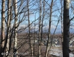 6440 Quiet Circle Anchorage, AK 99502 - Image 628152