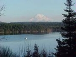 260 Se Cape Cod Point Road Shelton, WA 98584 - Image 642818