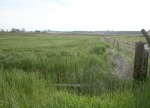 NE BROWN DR, Parcel 1 Madras, OR 97741 - Image 656907