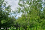 L120 L120 Chugiak, AK 99567 - Image 748046