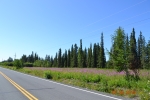 L2-4 Crooked Creek Road Kasilof, AK 99610 - Image 748447