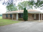 438 New Cut Rd Hartselle, AL 35640 - Image 749237