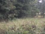 Co Rd 220, Lanett,Co Rd 220, Lanett, 36863 Lanett, AL 36863 - Image 750318