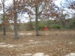 14 N HIGHWAY 123 Ozark, AL 36360 - Image 750677