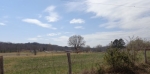 0 Ligon Springs Rd Tuscumbia, AL 35674 - Image 751130
