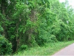 61.59 Acres MC 28 Texarkana, AR 71854 - Image 753596