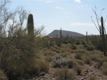 39900 N 80th H Street Cave Creek, AZ 85331 - Image 754365