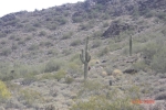 5344 E Prickley Pear Road Cave Creek, AZ 85331 - Image 754412