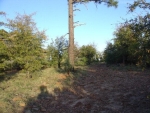 14 Point Trl Payson, AZ 85541 - Image 755219