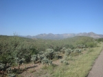 101 CAMINO OLYMPIA Rio Rico, AZ 85648 - Image 755514