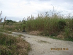 35399 SW 189 AVE Homestead, FL 33034 - Image 767945