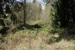 116 Goose Hollow Ln Longview, WA 98632 - Image 776333