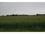 3975 Scottsville Rd. Franklin, KY 42134 - Image 783980