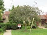 2634 Whitewood St #363 Ann Arbor, MI 48104 - Image 791195