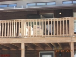 30 Millcreek Pkwy O Fallon, MO 63366 - Image 799033