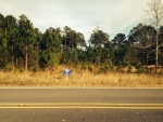 Lot 5 Martin Bluff Road Gautier, MS 39553 - Image 800268