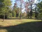 19289 FRANK LADNER RD Saucier, MS 39574 - Image 801405