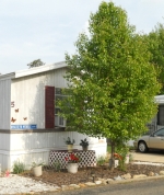 1314 Tunnel Rd #5 Asheville, NC 28805 - Image 802357