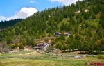 6220 Road 46 Mancos, CO 81328 - Image 804312