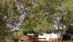 2659 Stewart Avenue Minden, NV 89423 - Image 808936