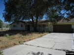4060 Partridge Ln Washoe Valley, NV 89704 - Image 809260