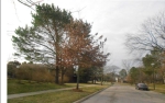 1215 Hidden Ridge Rd Toledo, OH 43615 - Image 813465