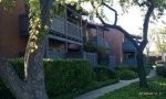 1345 N Cabrillo Park Dr Unit Id P05 Santa Ana, CA 92701 - Image 826712