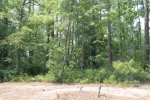 1 TABBY SHELL RD Bluffton, SC 29910 - Image 835270