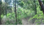 1488 COLES RD Johns Island, SC 29455 - Image 836305