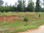 16215 COMMODORE DR Lancaster, SC 29720 - Image 836449