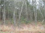 0 OLD GEORGETOWN RD Mount Pleasant, SC 29466 - Image 836702