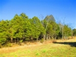 Rutland Drive #077.14.01 Mount Juliet, TN 37122 - Image 837966
