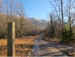 1902 Old Mountain Road Greeneville, TN 37743 - Image 839168