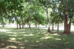 0 Watts Plantation DR Missouri City, TX 77459 - Image 844922