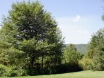 189 Green Hills Lane Wallingford, VT 05773 - Image 853061