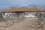 528 36 Road Palisade, CO 81526 - Image 887071