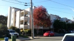 1751 Liberty St Apt 201 El Cerrito, CA 94530 - Image 891355
