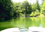 Laurel Wood New Tazewell, TN 37825 - Image 975741
