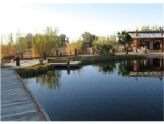 49755 Silver Valley Rd Newberry Springs, CA 92365 - Image 1035250
