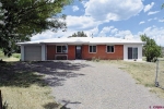 1565 CR 973 Arboles, CO 81121 - Image 1068368