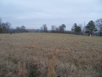 0 COUNTY 935 Crane Hill, AL 35053 - Image 1138018