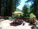 9085 Middle Terrace Rd Monte Rio, CA 95462 - Image 1142189