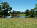 12274 Howell Lake Rd Winona, TX 75792 - Image 1185638