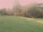 45 Duke Ln Elmwood, TN 38560 - Image 1189276