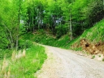 22 MARIAN ROAD Dugspur, VA 24325 - Image 1215342