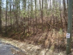 823 MONODY LN, LOT 823 Ranger, GA 30734 - Image 1272144