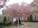 2190 Harithy Dr Dunn Loring, VA 22027 - Image 1273066