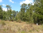 0 Fletcher Smith Cottonwood, AL 36320 - Image 1304943